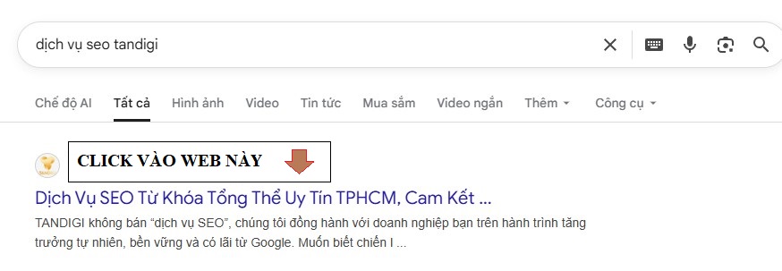 dich-vu-seo-tandigi